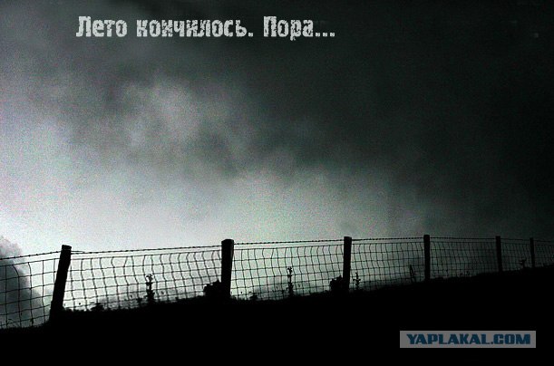 Битва фотожаберов: Лето кончилось