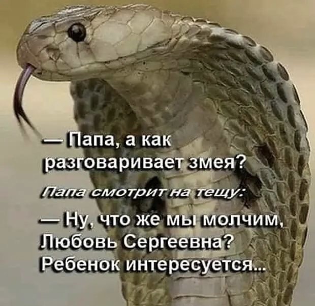 Бредзона 1.11.20