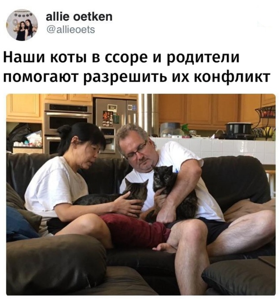 Немного картинок для настроения 05.11.20