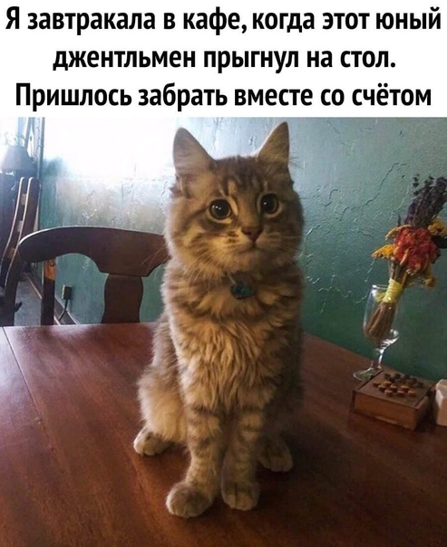 Юмор в картинках 30.11.20