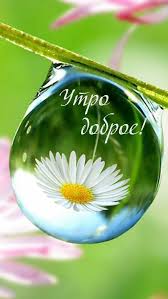 Утро вам не «это»!