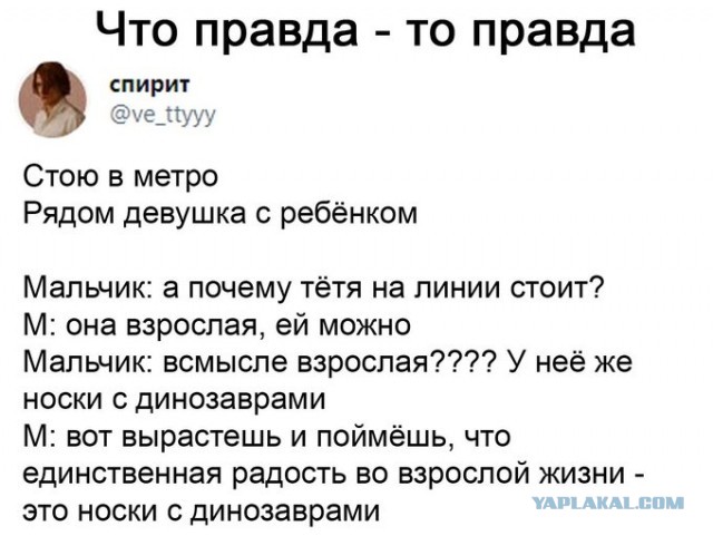 Весёлый полтишок 23.03