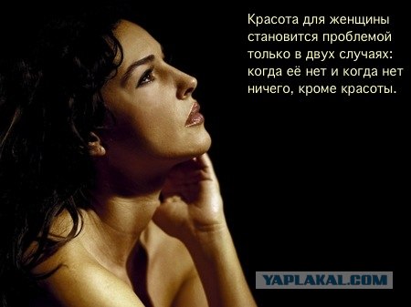 Обращение к админам краба