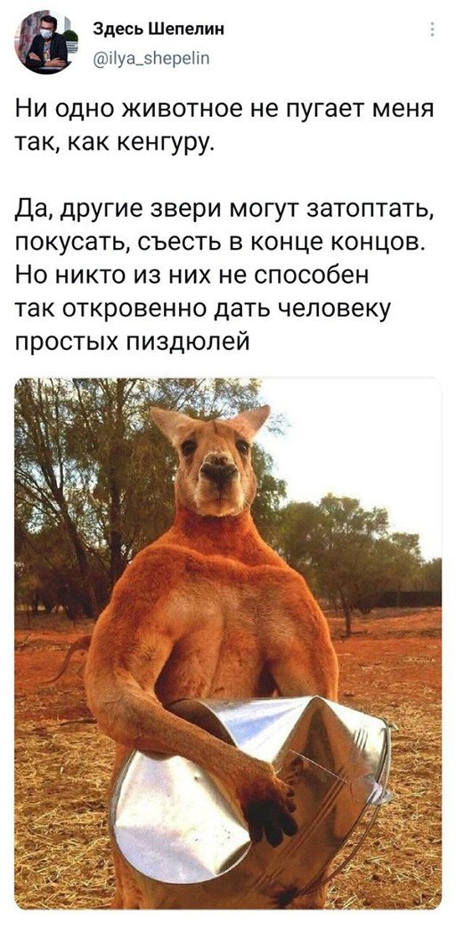 Баянисто-небаянистый юмор 15.05.21
