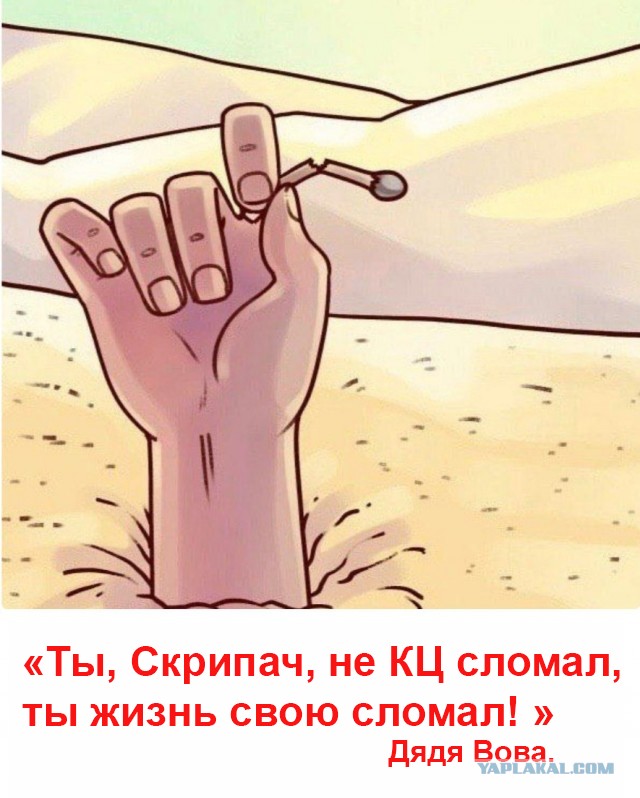Бредзона 22.08.21