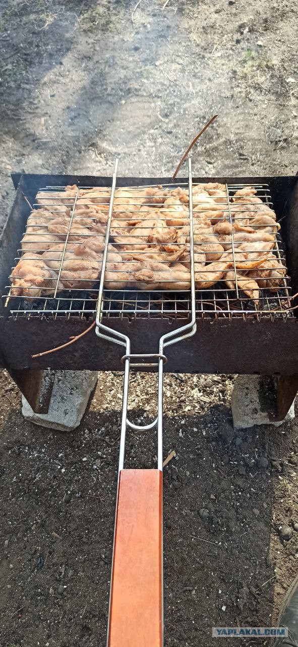 А как вы отдыхаете?