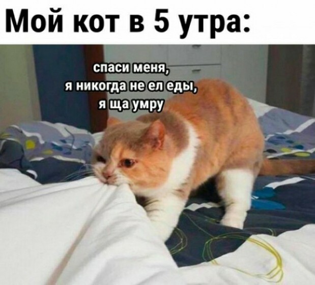 Железный повод послать работу...