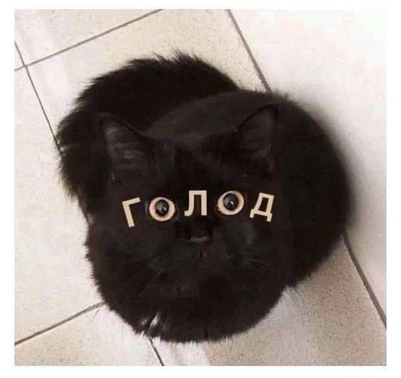 Помогите выбрать имя