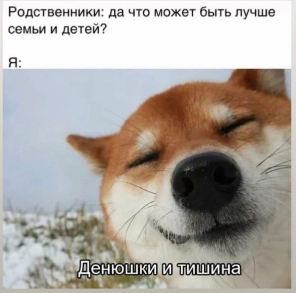 Весёлый полтишок 15.07.22