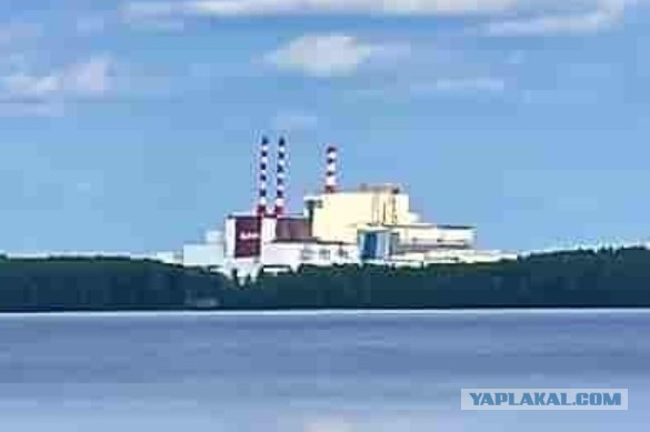 Рыбалка