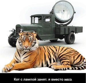 Соседка решила романтично познакомиться с другим соседом и при этом затопила три этажа. Деньги за ремонт отдавать не хочет ни она, ни родители