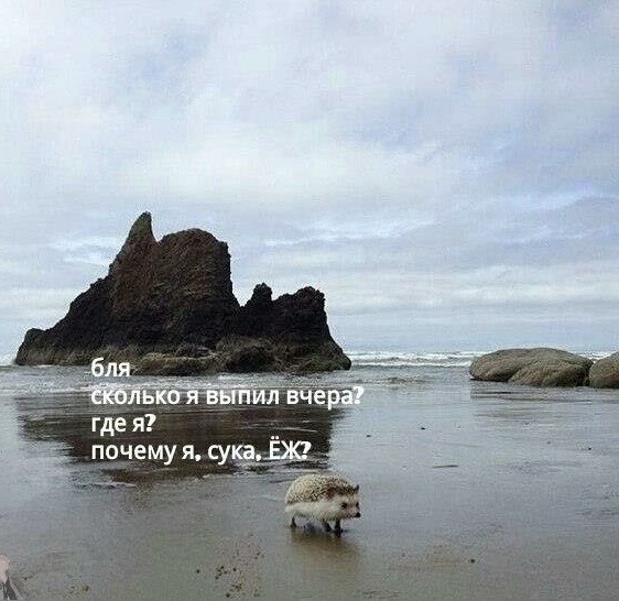 Мой сборник баянов