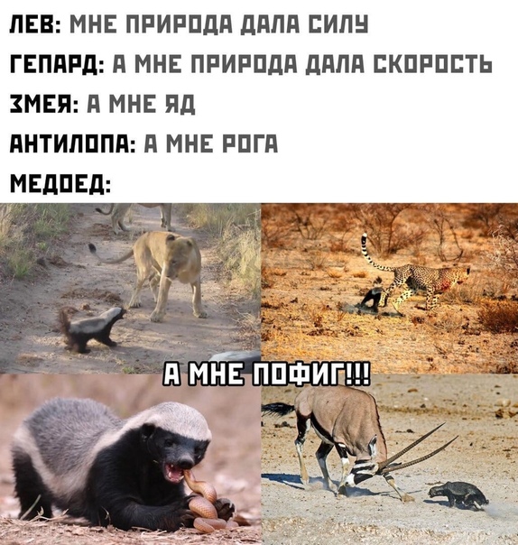 50 оттенков серого если самосвал баянов.  Vol.23