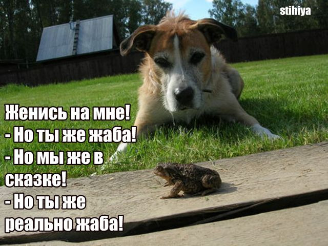 Прикольные и просто красивые картинки 14.07.2023