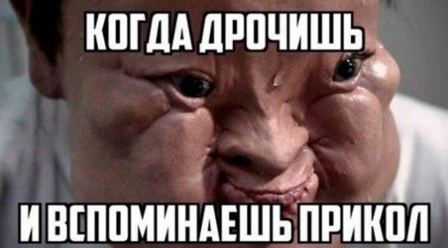Картинки из Дристоля - 3