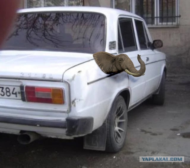 Небольшая коллекция фотокарточек, на которых творится какая-то дичь