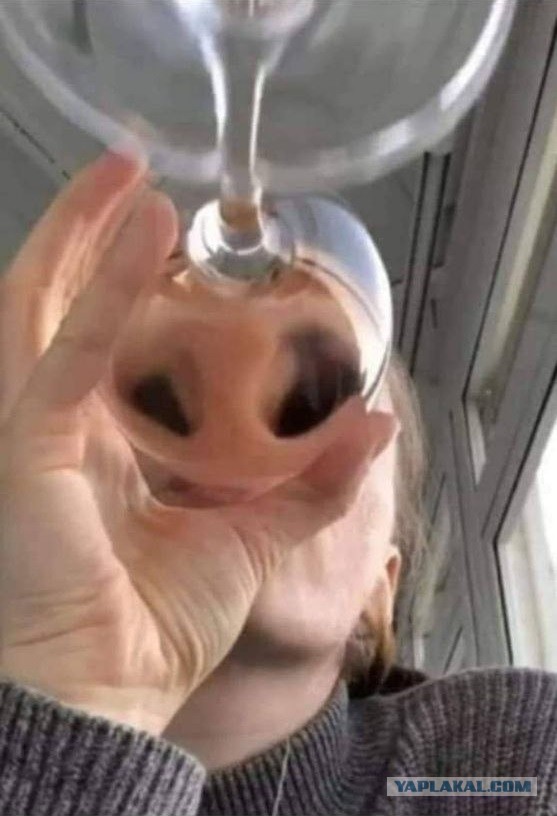 Нос