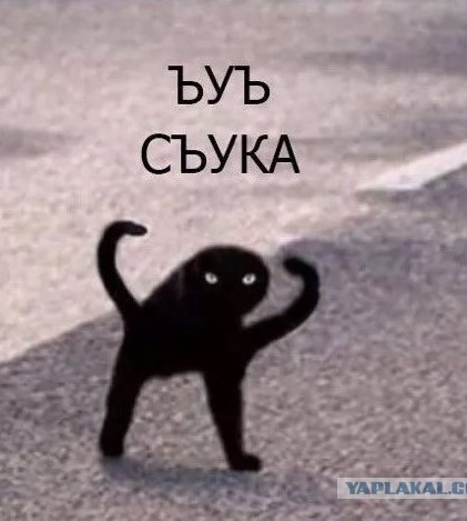 Кот, который был воспитан собаками