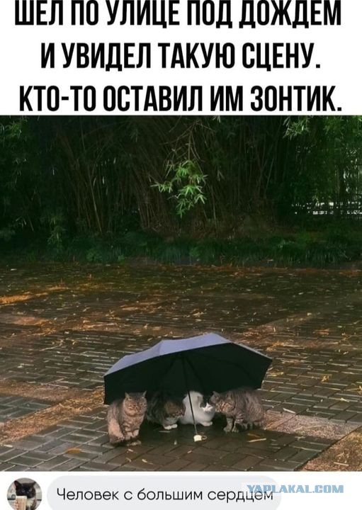 Завалялось тут случайно немного забавных картинок