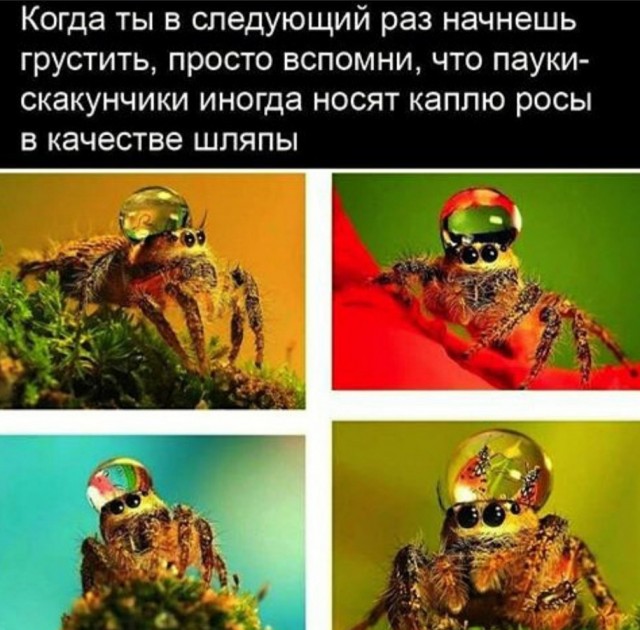 Завалялось тут случайно немного забавных картинок