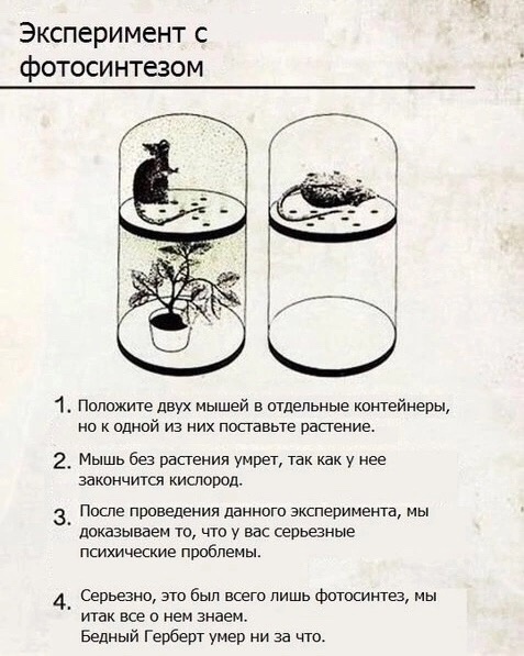 Так себе картинки 18.11.24