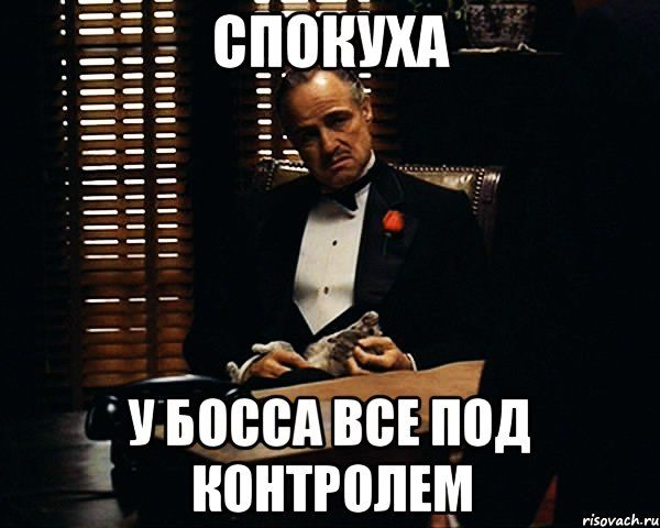 Ситуация с курсом рубля в целом под контролем, оснований для паники нет, заявил Путин