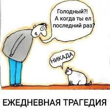 Когда малыш не кушал 10 минут