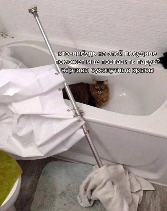 Одна девочка не любила молочную пенку...