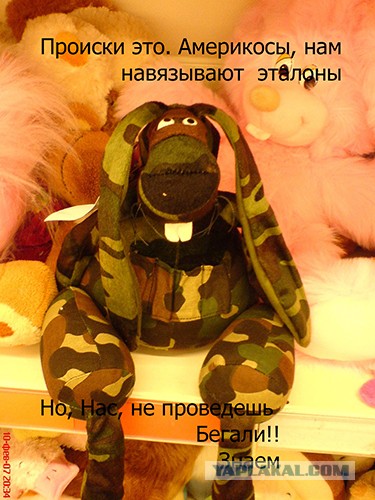 Барби с фигурой обычной женщины