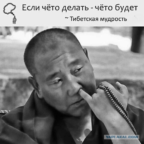 Веселые картинки _)