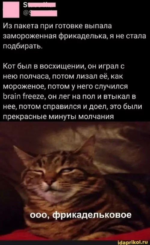 Так себе картинки 22.02.26