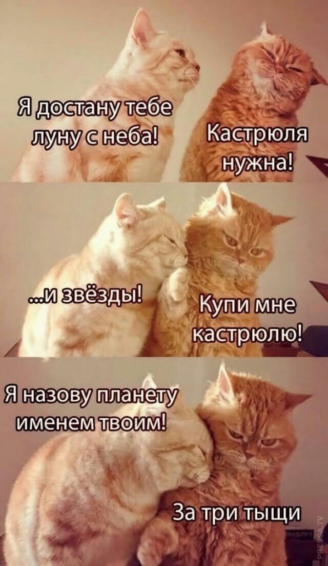 Мягкие игрушки и роза в целлофане — худшие подарки на 8 Марта, по мнению россиянок