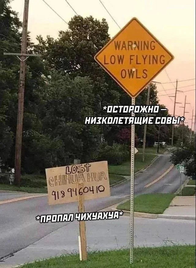 Четверговые картинки