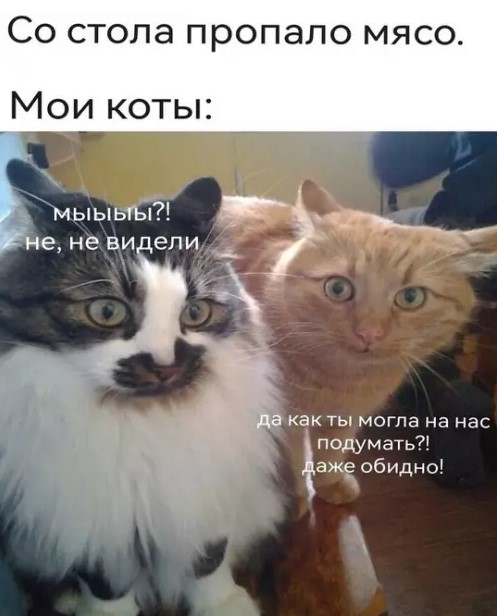 Картиночки, баянчики 28 марта