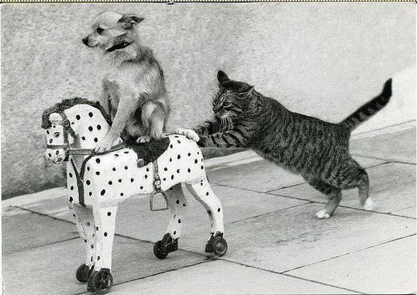 А чо уж!