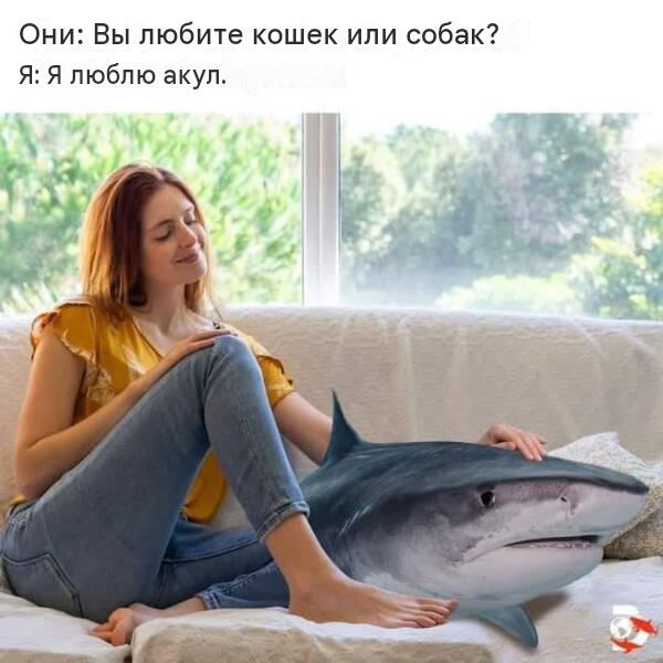 У мужика инфаркт, у акулы истерика