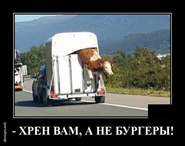 Изображения для сокращения лицевой мускулатуры #2