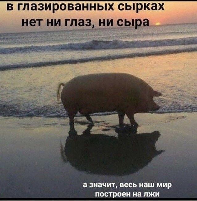 Картинки для деградации 309 (разной степени свежести)