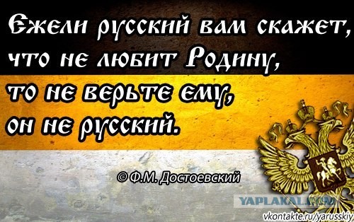 Константин Кинчев на матче "Зенит"-"Анжи"