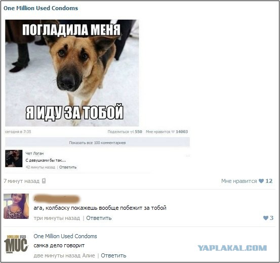 Смешные комментарии из социальных сетей #2