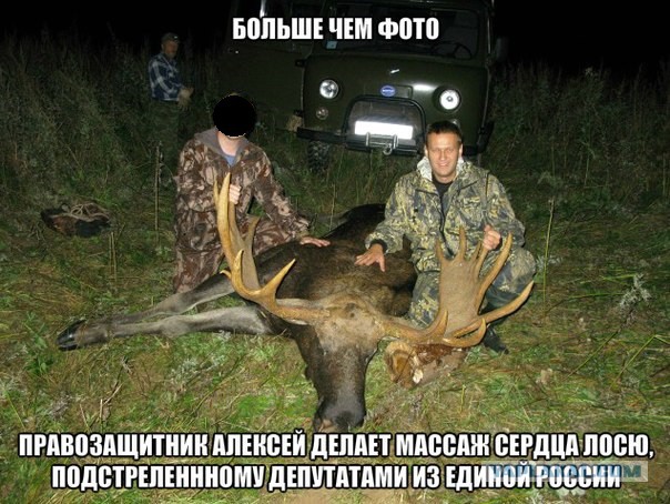 Алексей рассказал про Лося