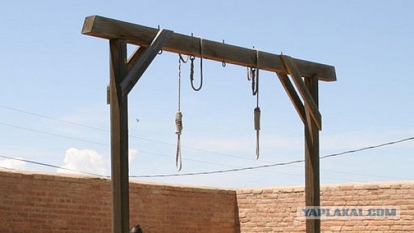 Удар по Станице. Последствия военных действий