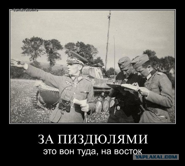 Весёлое из сети