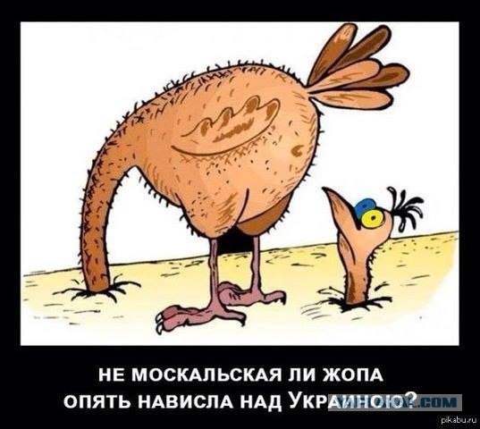 Яценюк: падение курса рубля негативно
