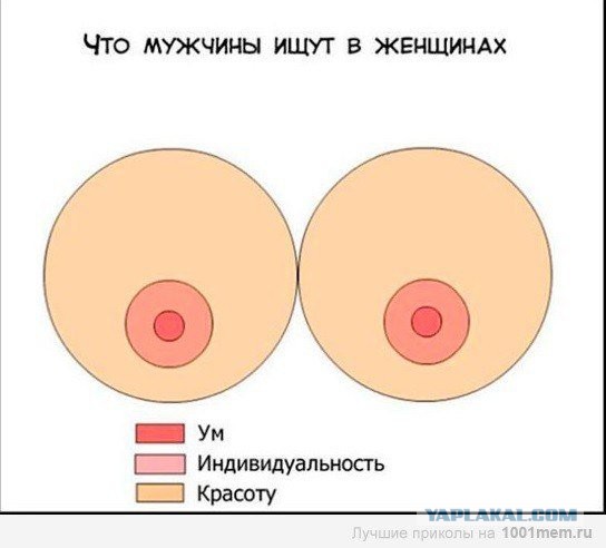 Прикольные картинки.