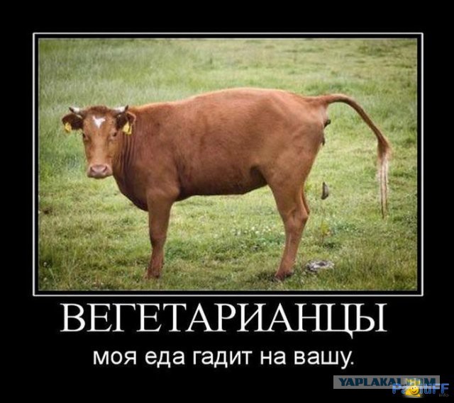 Веганы-радикалы в Петербурге