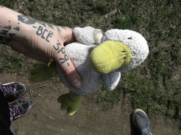 Ужасы и приколы из соцсетей 18+