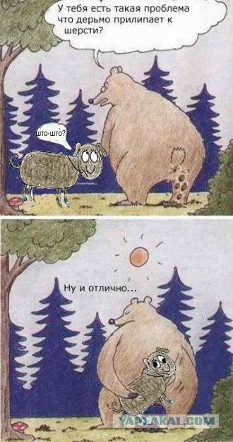 Элли и Штоштошка