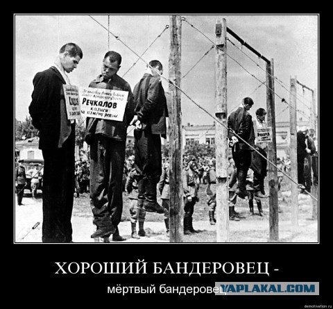 Польские активисты разрушили памятник УПА