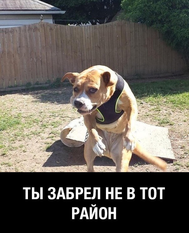 Сборник "баянов" со всего Интернета - 2